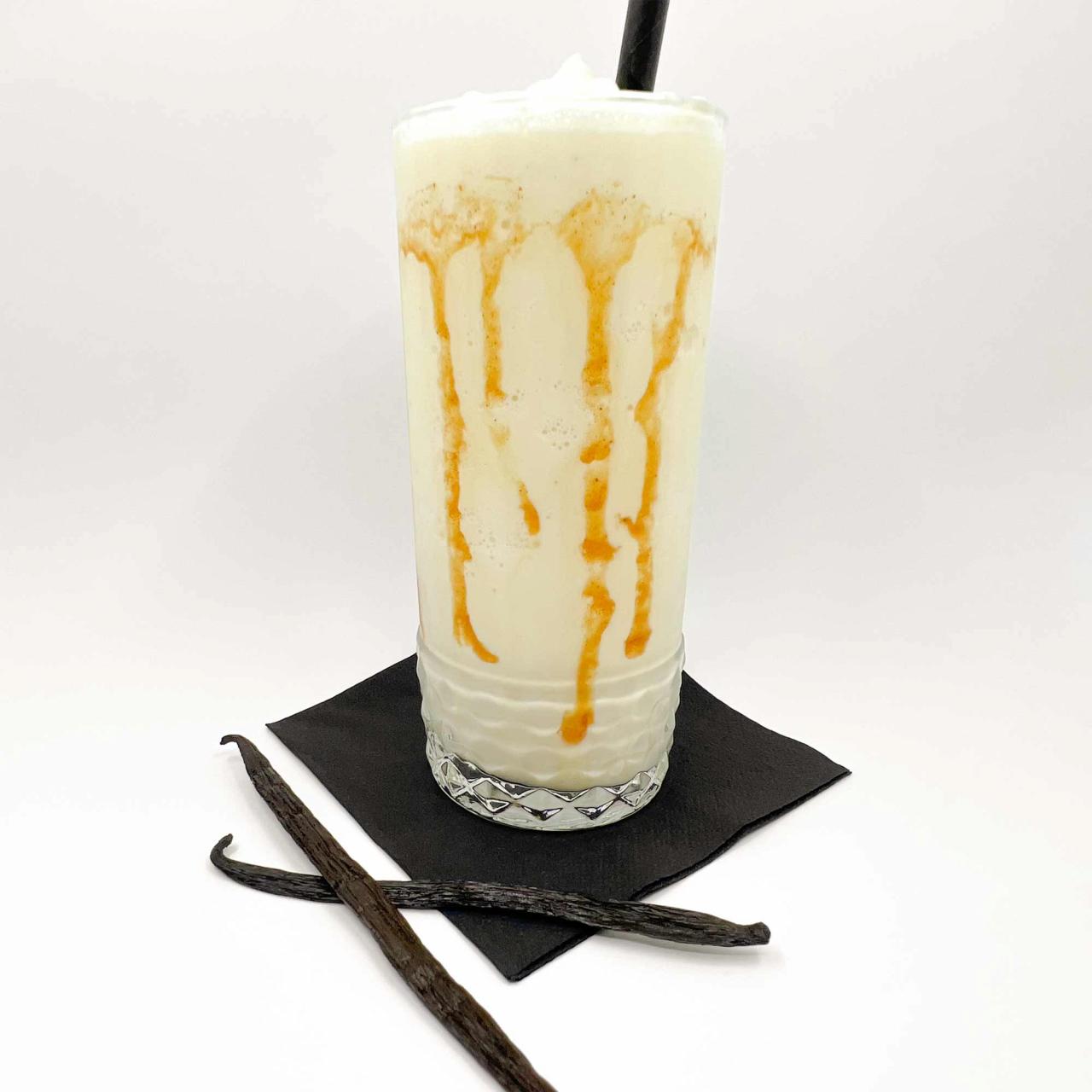 Milkshake VANILIJA 0,35L
