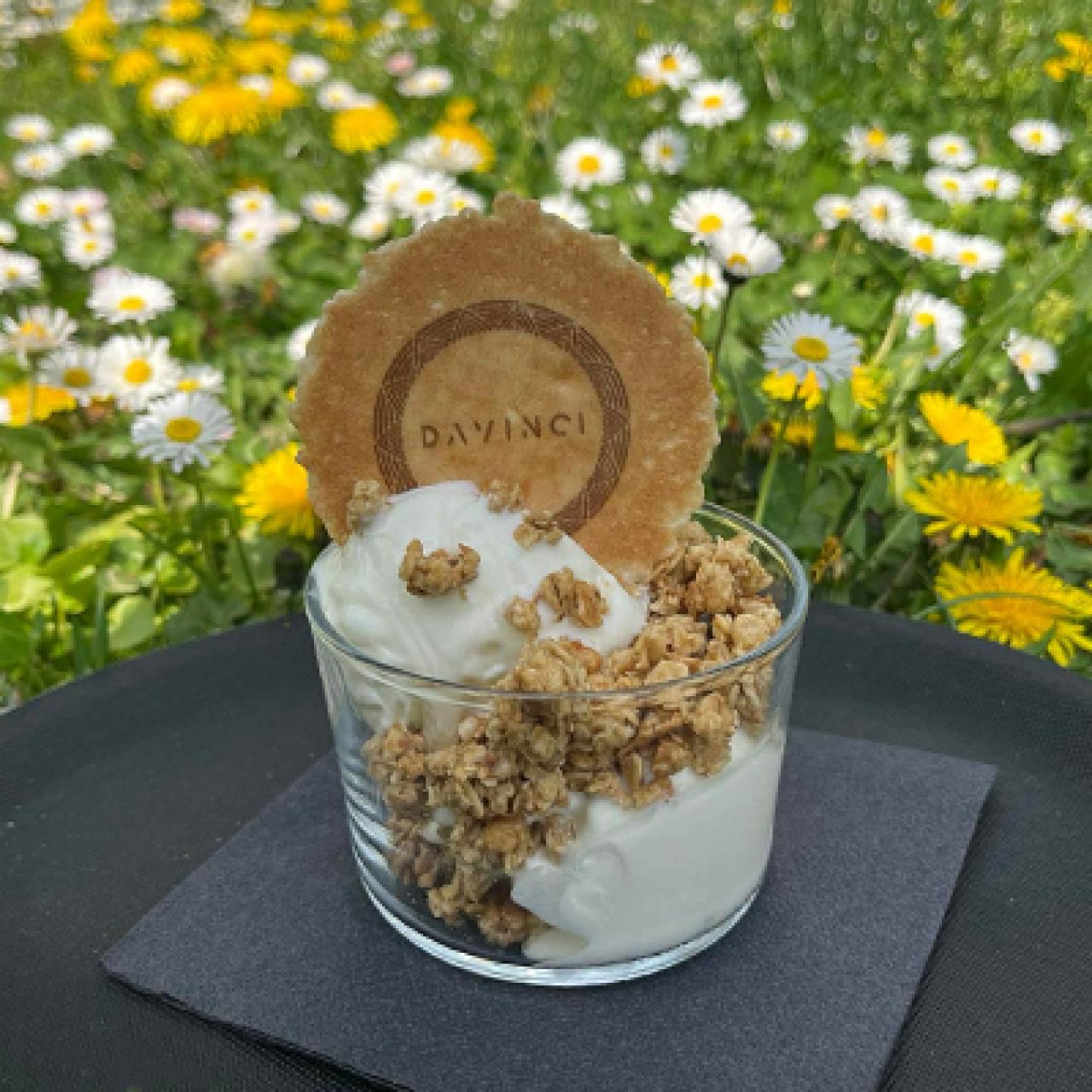 Jogurt z granolo premium sladoled