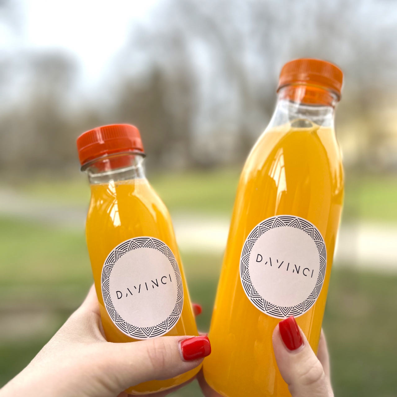 Sveže stisnjen pomarančni sok 0,25L TO-GO