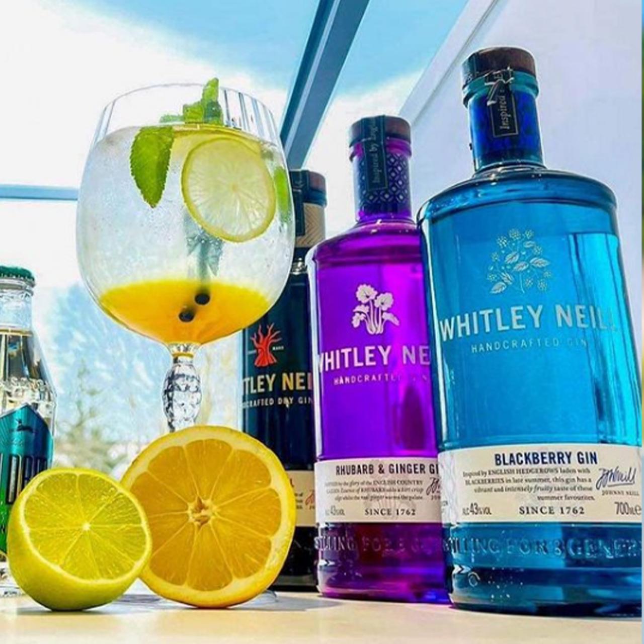 Gin Tonic W.N. Grapefruit