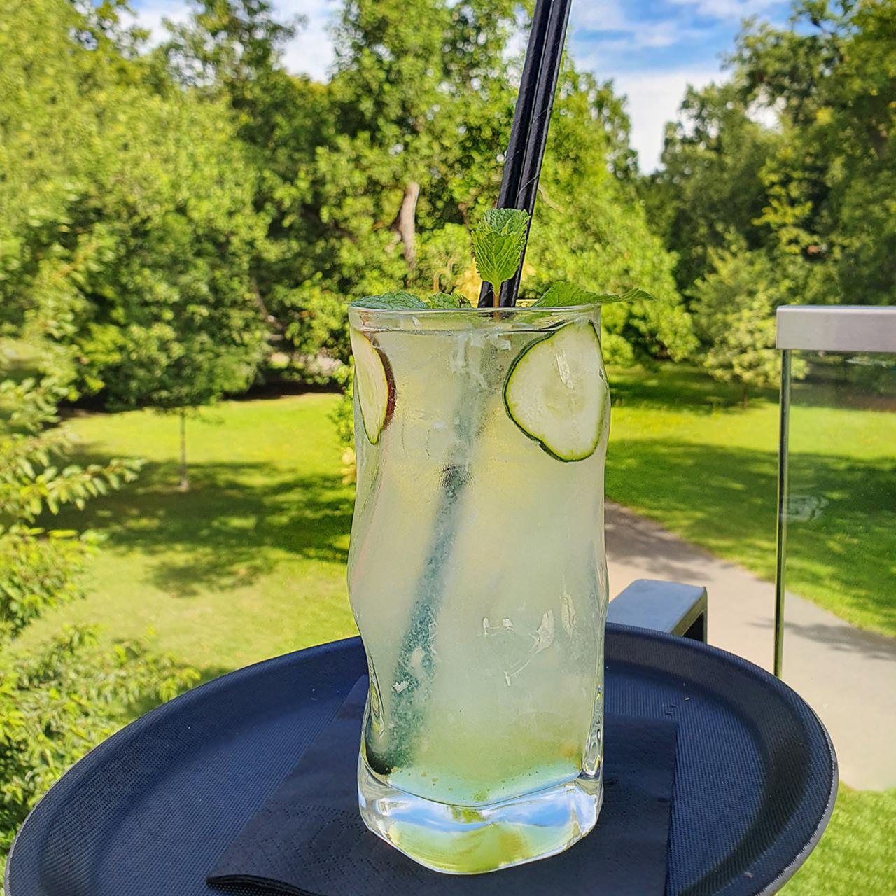 DAVINCI voda z okusom